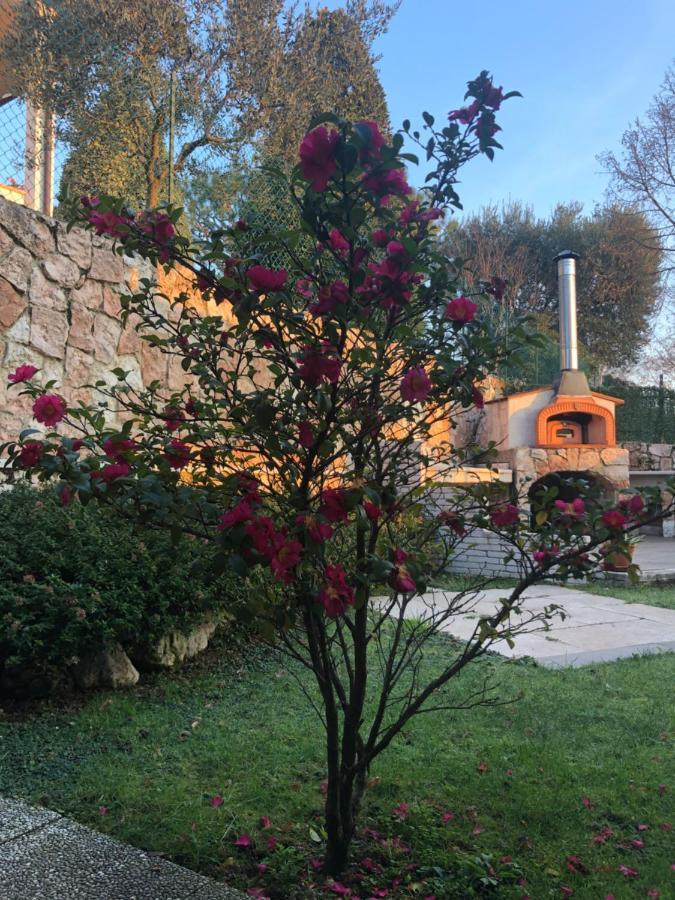 B&B Damiano Crespano del Grappa Exterior foto